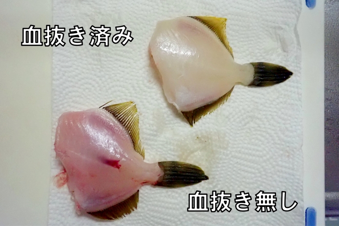 簡単なカワハギの捌き方と肝の外し方 刺身用は皮を剥がないで Salt Fresh 魚の総合サイト ソルフレ