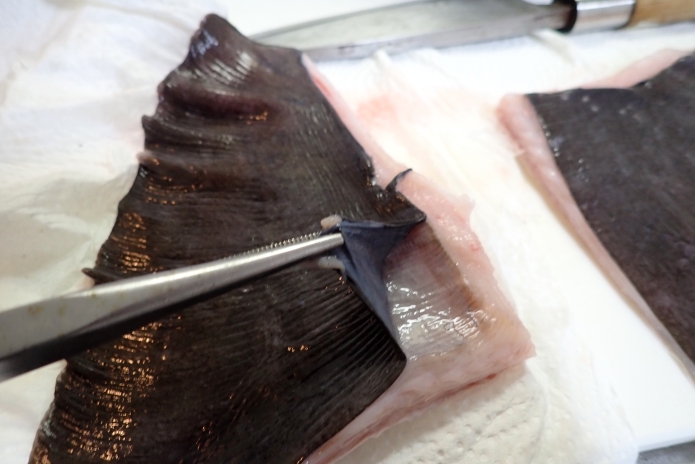 エイの仲間で最も美味しいとされるホシエイの食べ方をご紹介 肝が絶品です Salt Fresh 魚の総合サイト ソルフレ