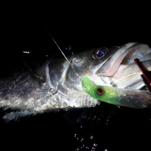 ストリームデーモンの使い方を初心者目線でインプレしてみよう