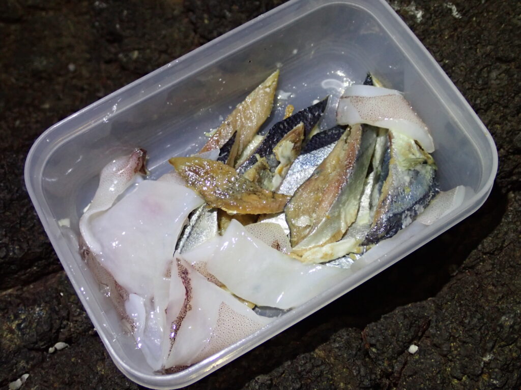 アカハタの釣り方や生態をご紹介 近年注目されるロックフィッシュです Salt Fresh 魚の総合サイト ソルフレ