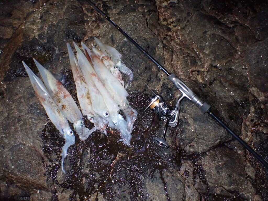 エサ巻きエギでヤリイカを釣る 冬の山陰は邪道エギングがアツい Salt Fresh 魚の総合サイト ソルフレ