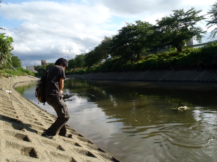 パンコイ 近所の川や池でコイを釣ってみよう 初めての釣りでも楽しめますよ Salt Fresh 魚の総合サイト ソルフレ