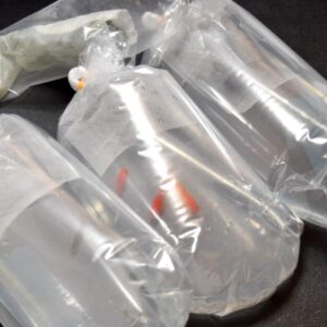 熱帯魚・メダカ・金魚・飼育用品を通販で買うときの注意点 | 失敗せず安く購入する方法