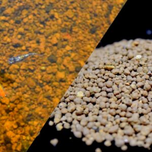 メダカ飼育におすすめの底砂7選と選び方 | 室内・屋外向きの種類や砂利とソイルの使い分け