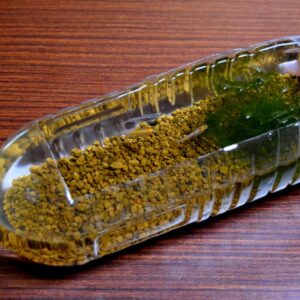 【5分で作れる】メダカをペットボトルで飼う方法!簡単ペットボトル水槽の作り方