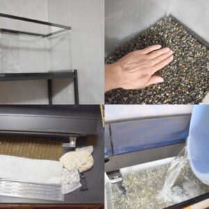 【初心者向き】熱帯魚水槽の立ち上げ方と手順を実際の写真付きで解説!